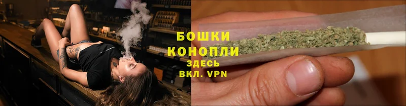 Каннабис White Widow  Андреаполь 